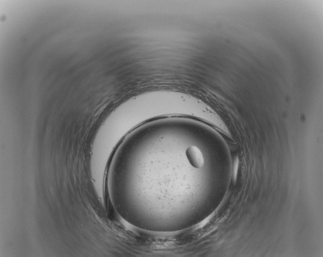 X0000061760560200512091704