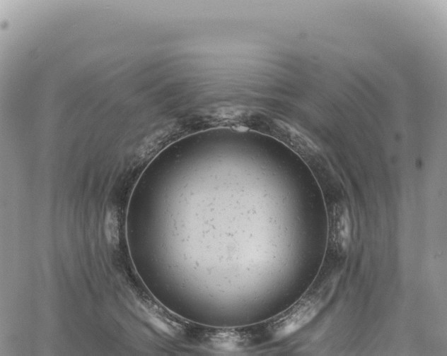 X0000061760562200512091704