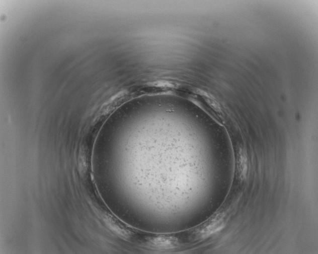 X0000061760566200512091704