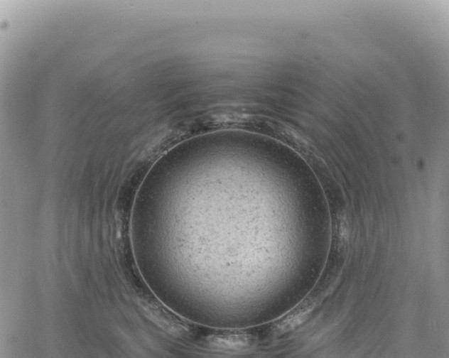 X0000061760567200512091704