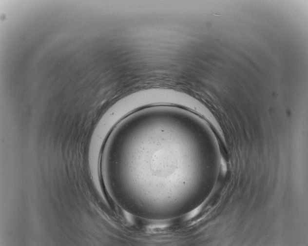 X0000061760568200512091704