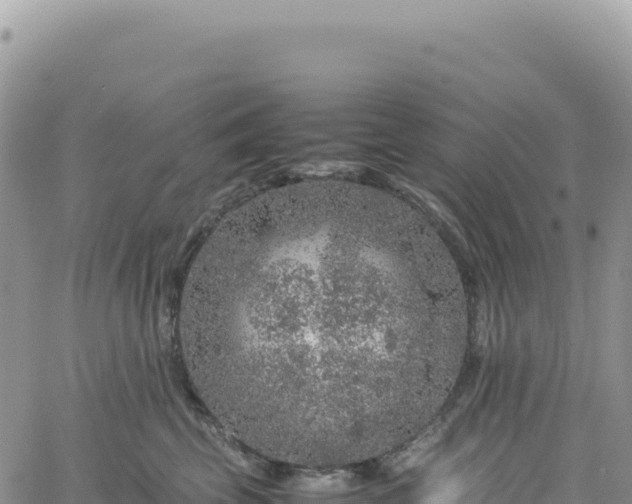 X0000061760569200512091704