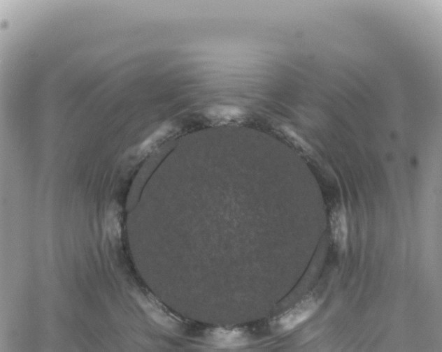 X0000061760570200512091704