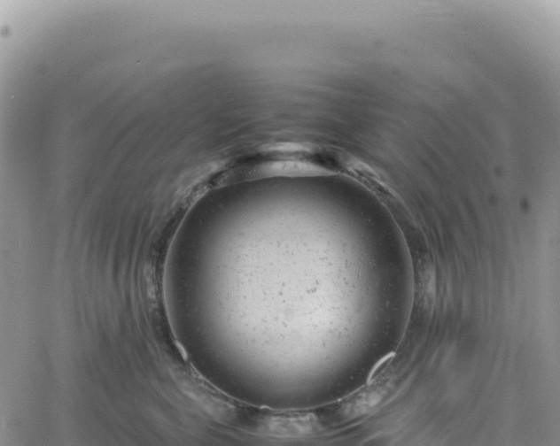 X0000061760571200512091704