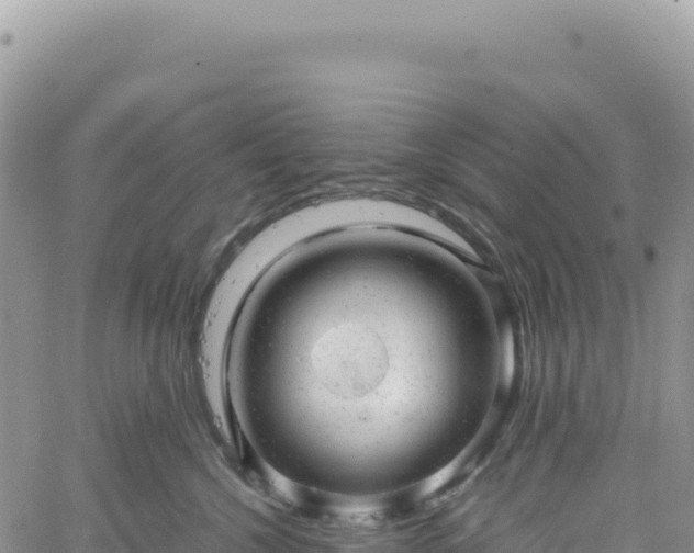 X0000061760572200512091704