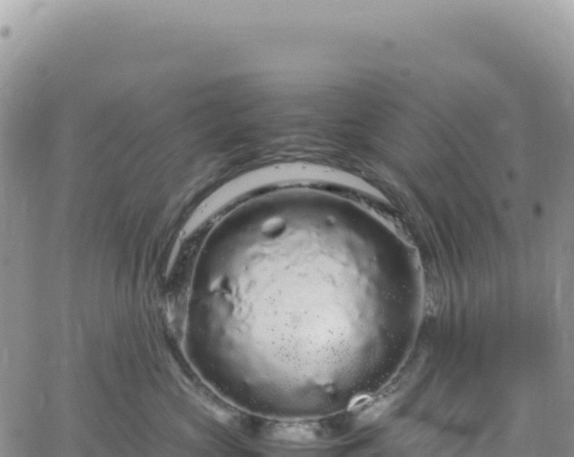 X0000061760573200512091704