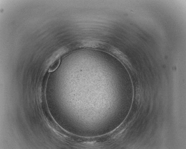 X0000061760578200512091703