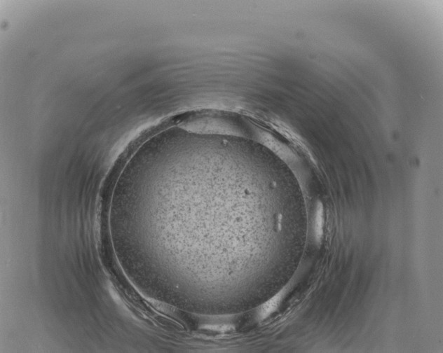 X0000061760580200512091703