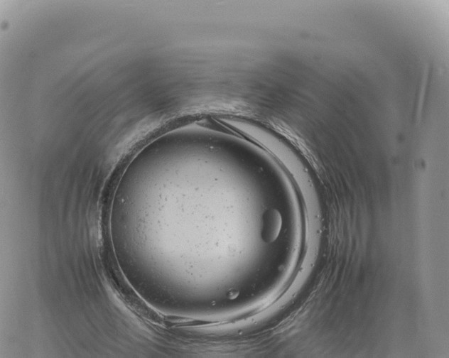 X0000061760582200512091703