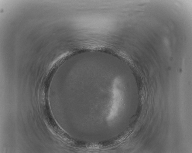 X0000061760587200512091703