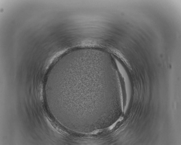 X0000061760588200512091703