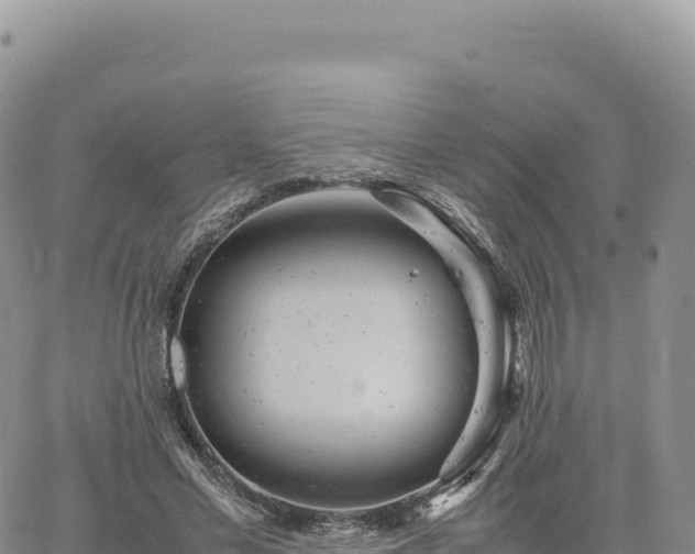 X0000061760589200512091703