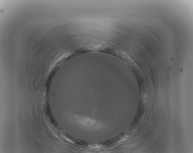 X0000061760591200512091703