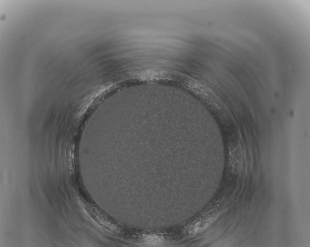 X0000061760592200512091703