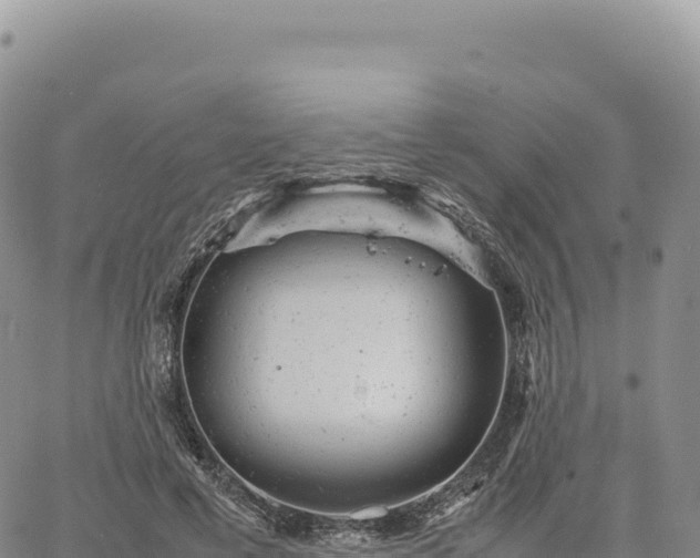 X0000061760593200512091703