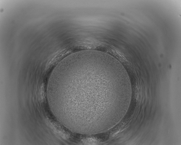 X0000061760594200512091703