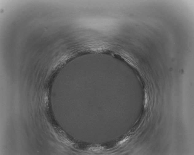 X0000061760595200512091703