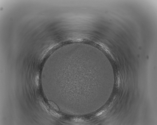 X0000061760596200512091703