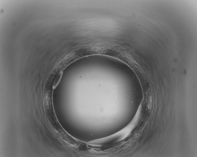 X0000061760597200512091703