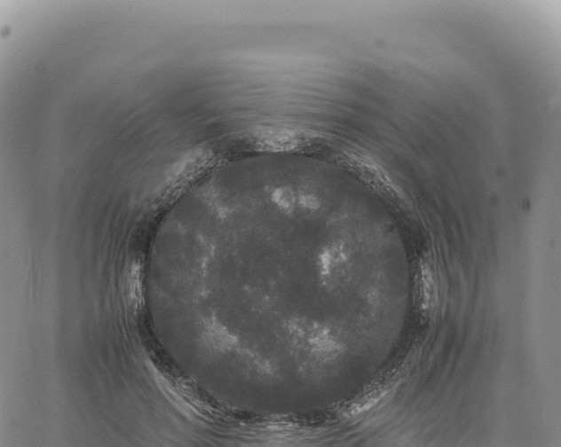 X0000061760598200512091703