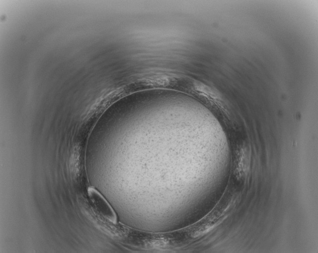 X0000061760600200512091703