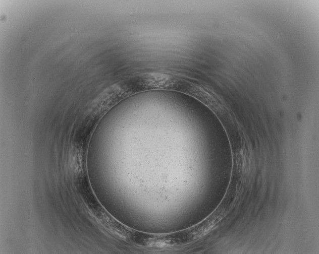 X0000061760602200512091703