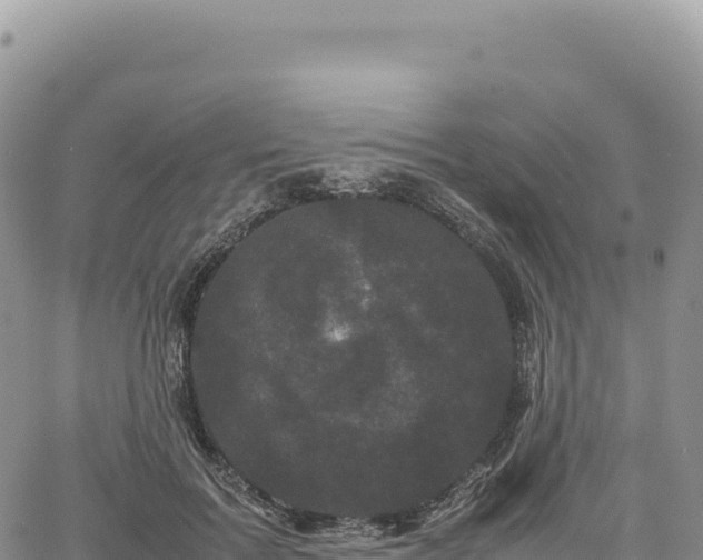 X0000061760603200512091703