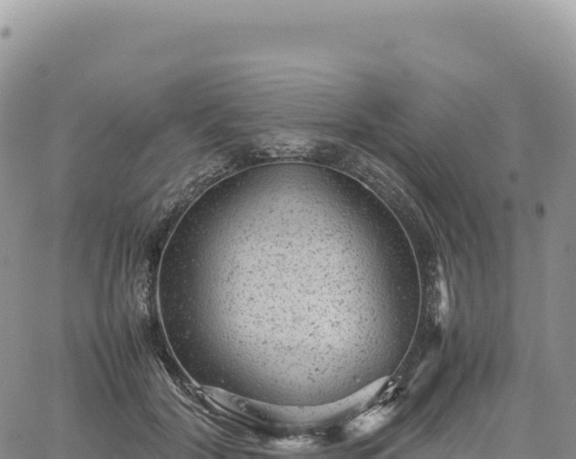 X0000061760604200512091703