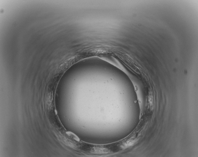 X0000061760605200512091703