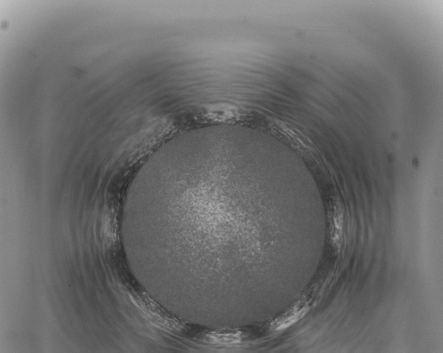 X0000061760606200512091703