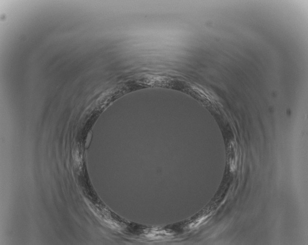 X0000061760607200512091703