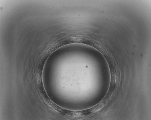 X0000061760609200512091703