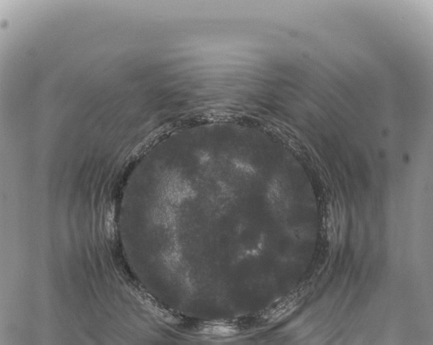 X0000061760610200512091703