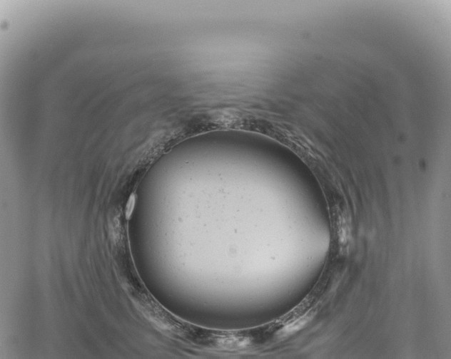 X0000061760611200512091703