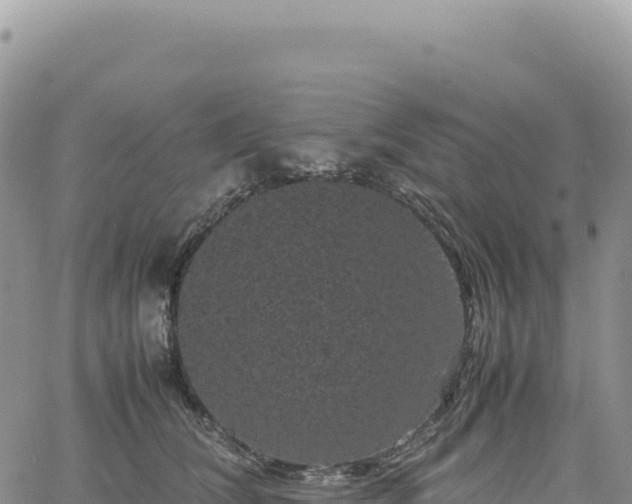 X0000061760612200512091703