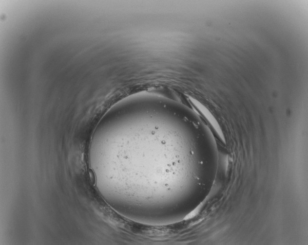 X0000061760615200512091703