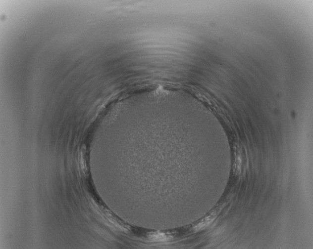 X0000061760616200512091703