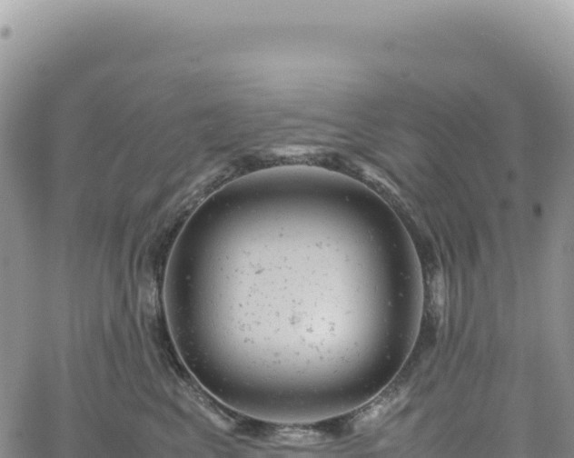 X0000061760617200512091703