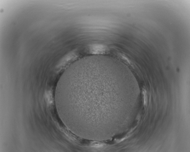 X0000061760620200512091703