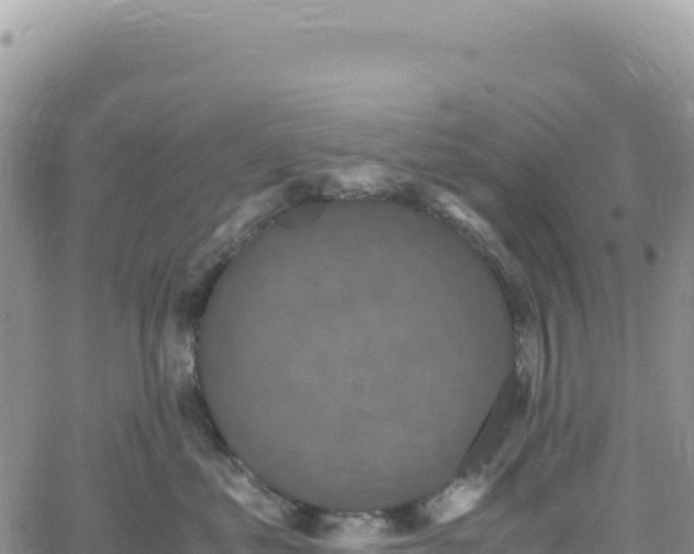 X0000061760621200512091703