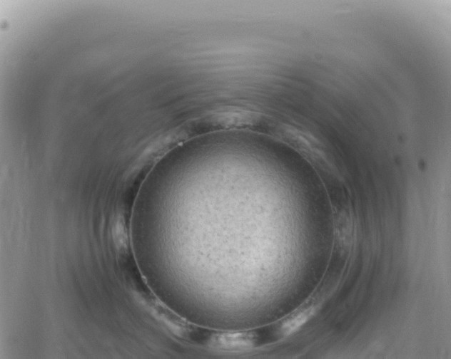 X0000061760622200512091702