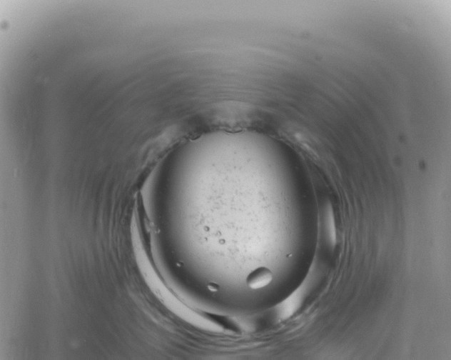 X0000061760623200512091702