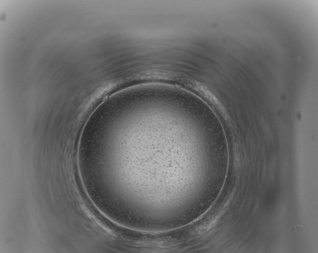 X0000061760625200512091702