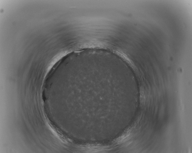 X0000061760626200512091702