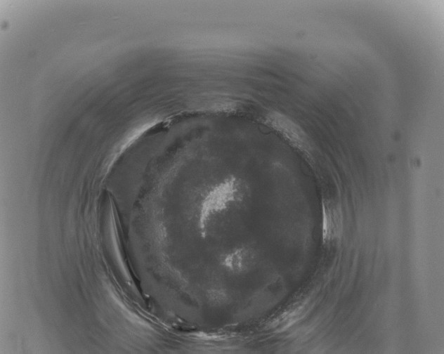 X0000061760627200512091702