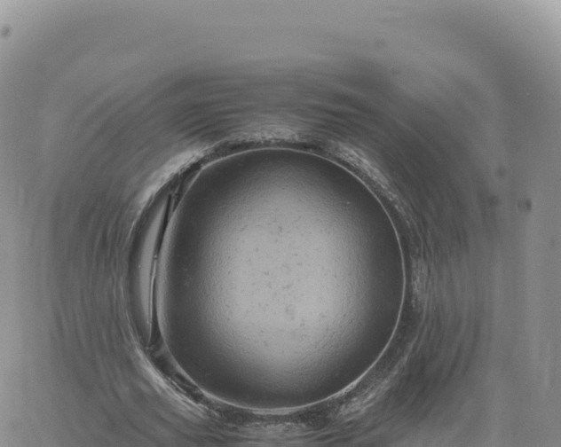 X0000061760629200512091702