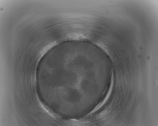 X0000061760630200512091702