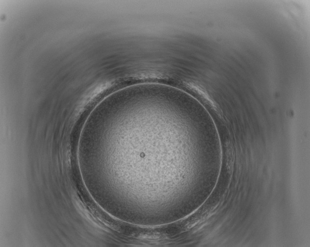 X0000061760631200512091702