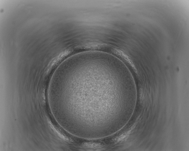 X0000061760633200512091702