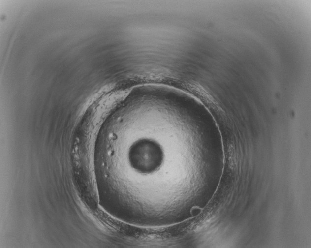 X0000061760634200512091702